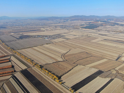 “要建好，更要管好、用好”——高標準農(nóng)田建設觀察